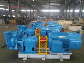 大流量壓(ya)濾機進料泵