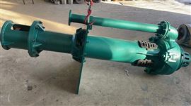 100RV-SP洗沙廠選礦廠(chang)用液下渣漿泵(beng)