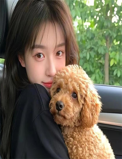 燕子李三电影-欧美动物人物ppt